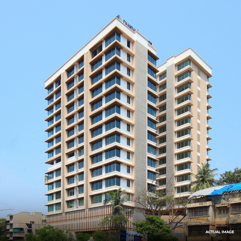 49 Ideal — All Photos 1