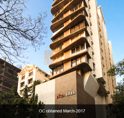 Ekta Iris — All Photos 1