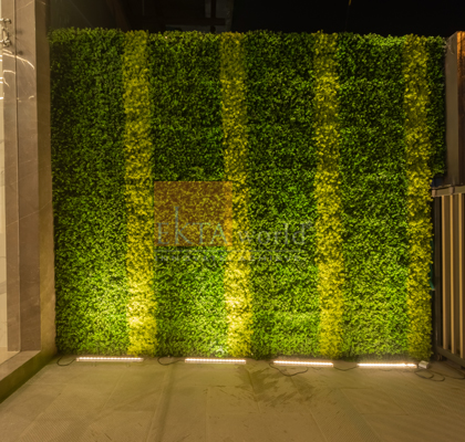 Ekta Trinity — All Photos 11