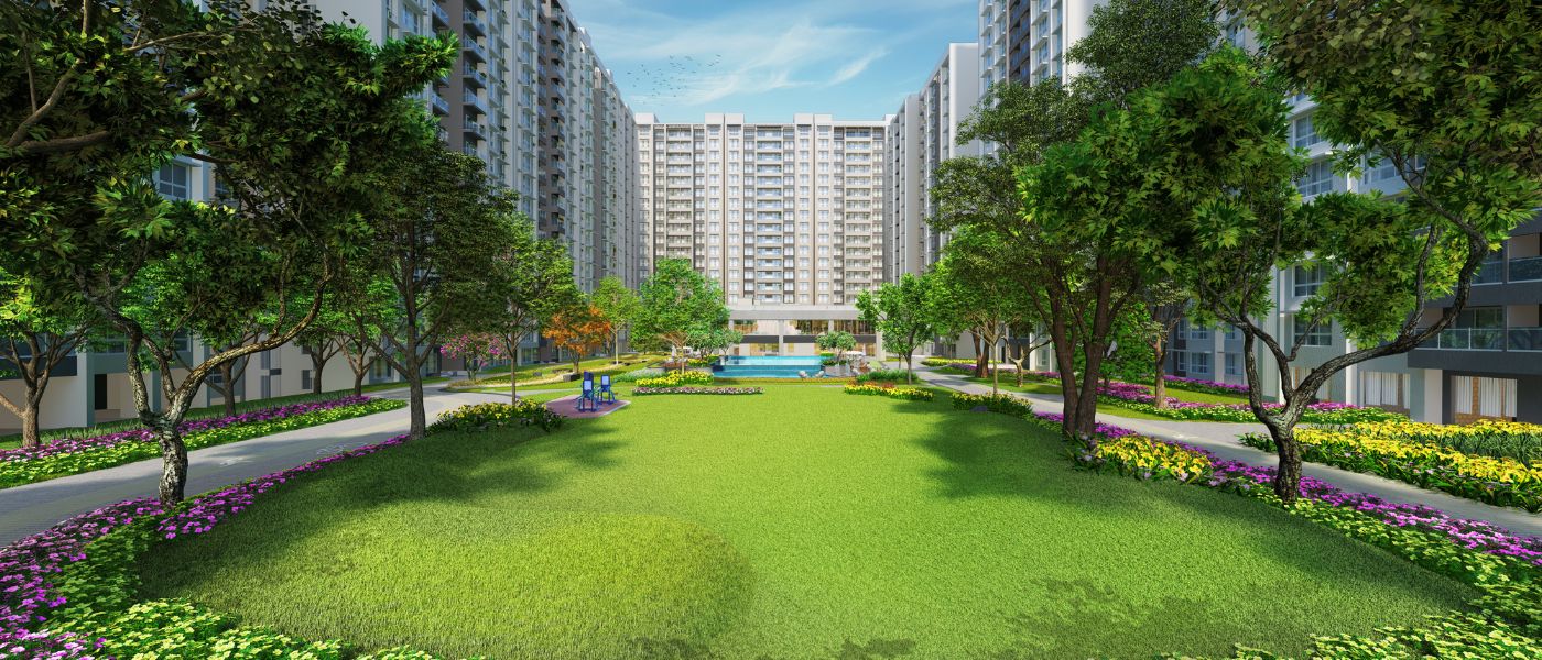 Emerald Isle — All Photos 6