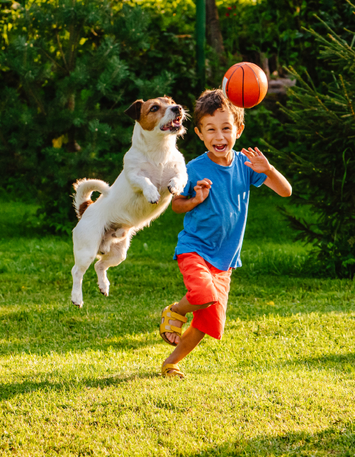 Kalpataru Vivant — All Photos 1