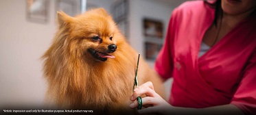 Omkar Alta Monte — All Photos 2