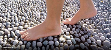 Omkar Signet — All Photos 1