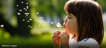 Omkar Signet — All Photos 3