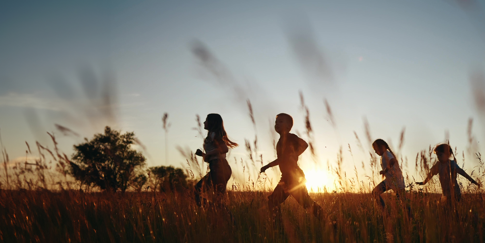 Paranjape Athena — All Photos 1