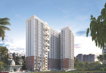 Platinum Classic — All Photos 5