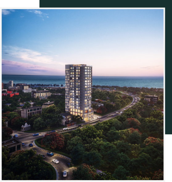 Platinum Oceanic — All Photos 2