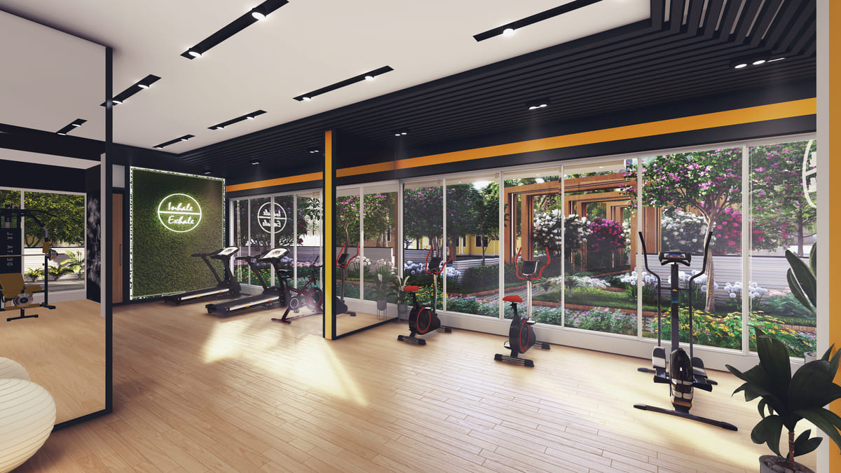 Romell Asrava — All Photos 5