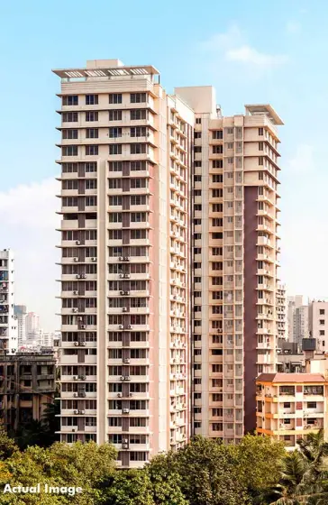 Romell Diva — All Photos 1