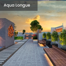 Romell Orbis — All Photos 1