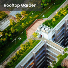 Romell Rhythm — All Photos 2