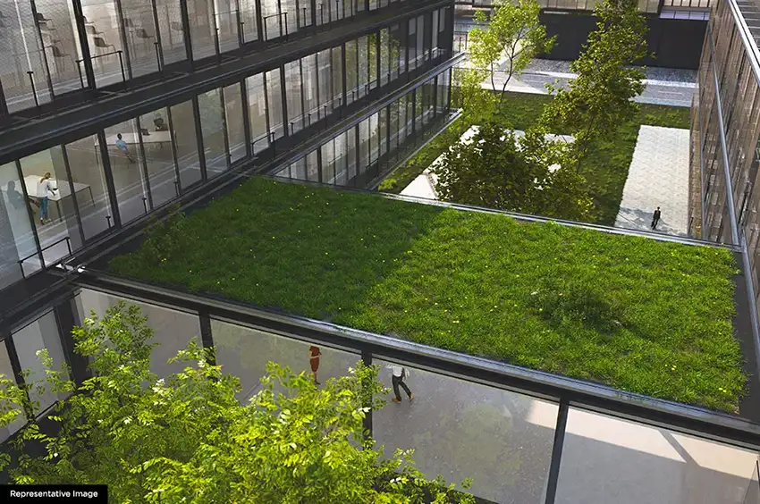 Runwal 25 Hour Life — All Photos 2