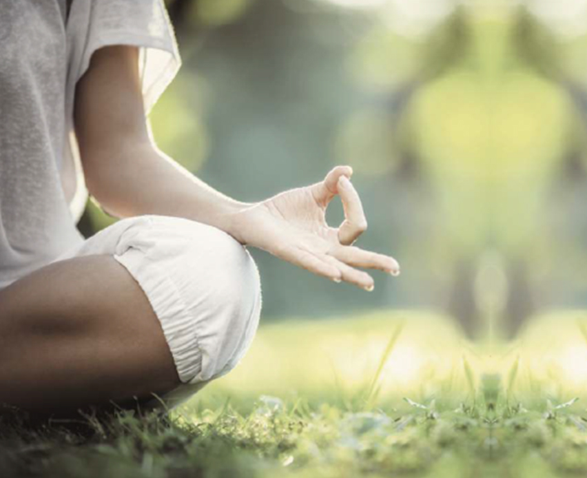 Ruparel Orion — All Photos 4