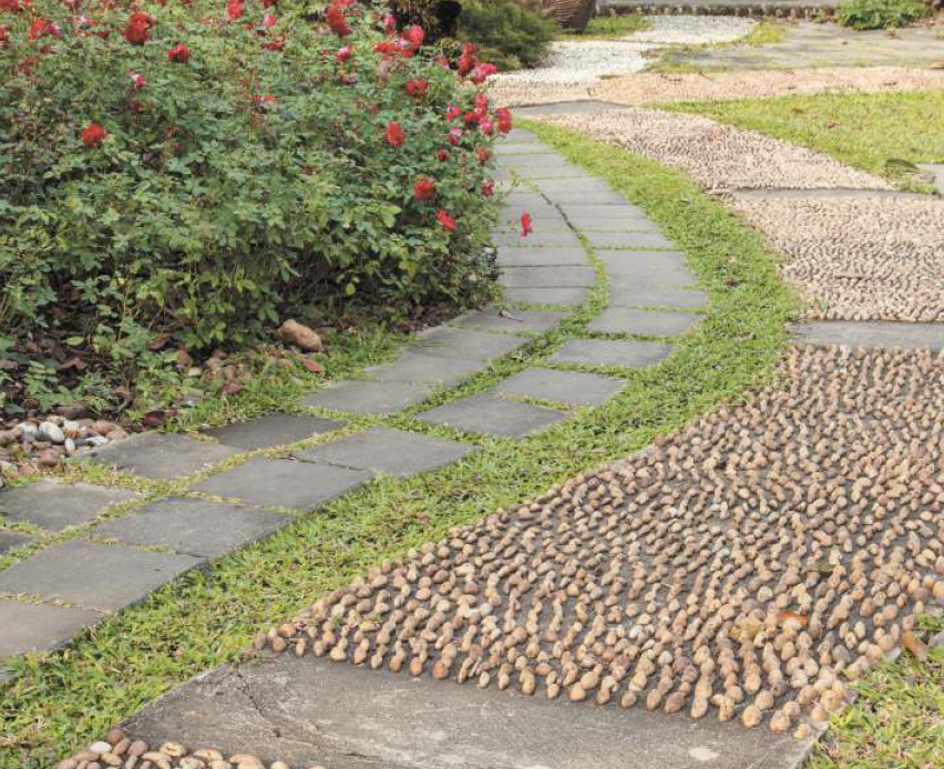 Ruparel Orion — All Photos 5