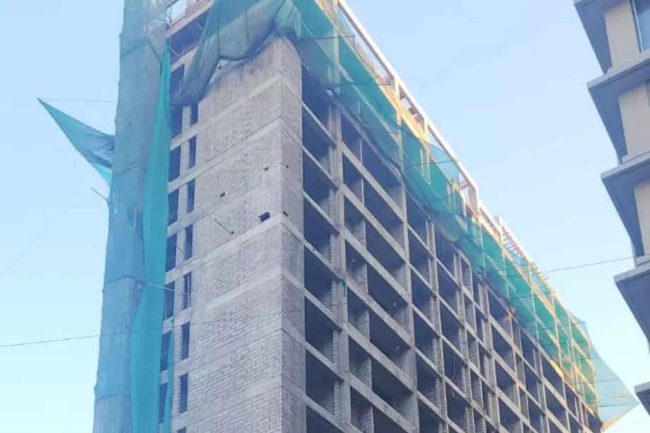 Shelton Elite — All Photos 3