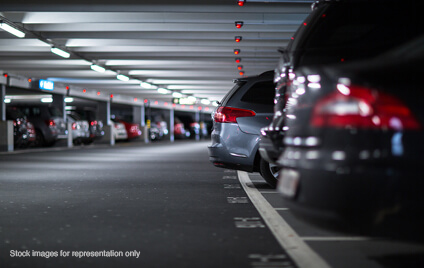 The Designate — All Photos 4