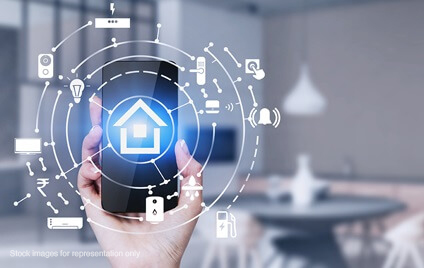 The Designate — All Photos 5