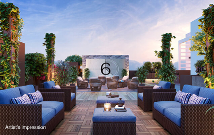 The Designate — All Photos 6