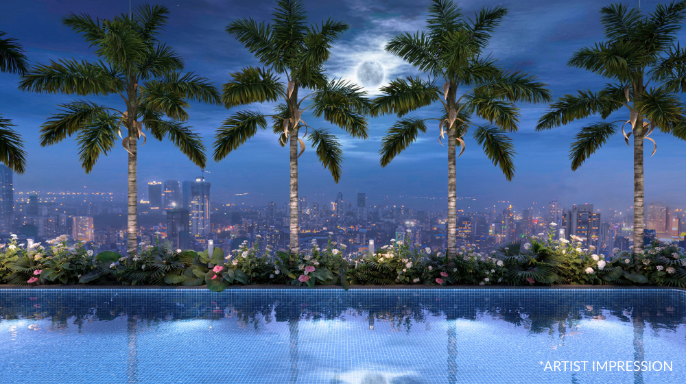 The Stardeous — All Photos 13