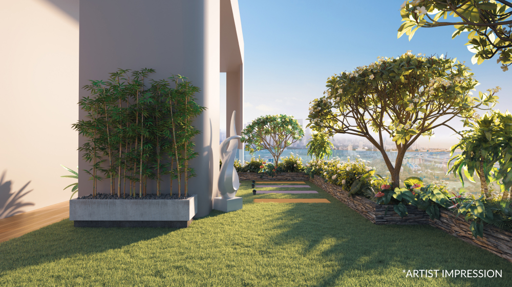 The Stardeous — All Photos 14