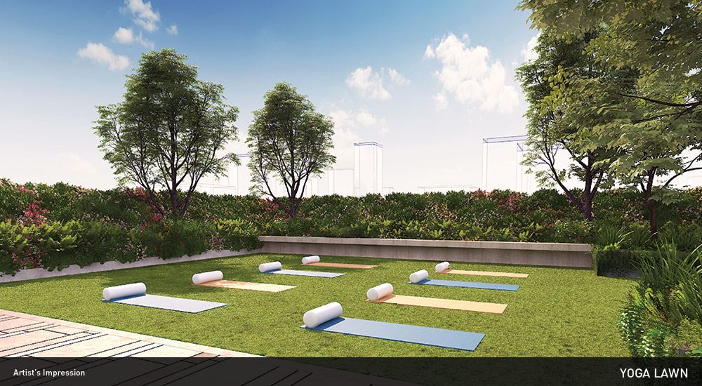 TW Gardens — All Photos 1