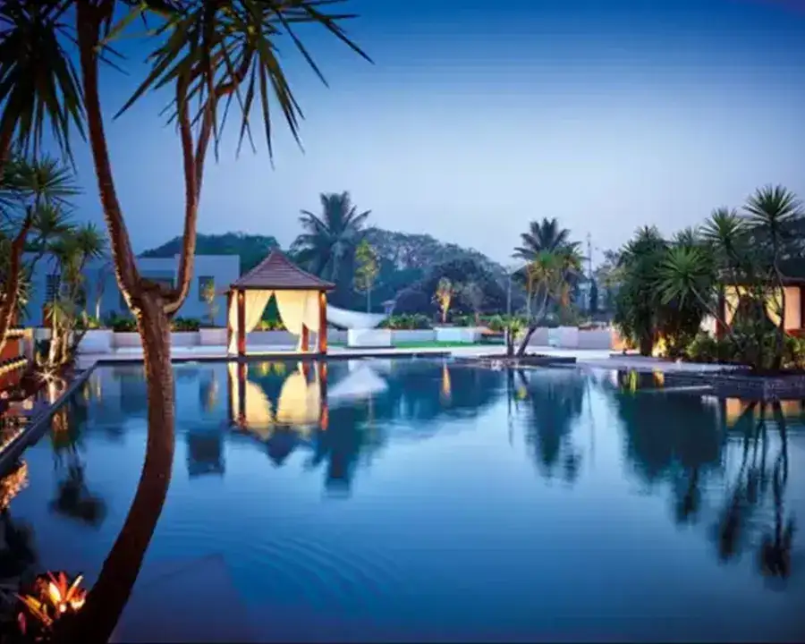 Vascon Orchids — All Photos 4