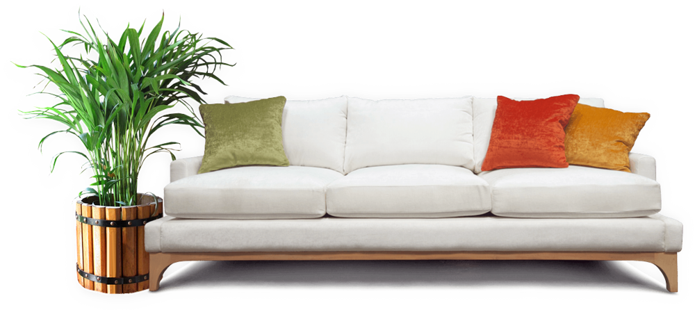 Veena Solace — All Photos 3